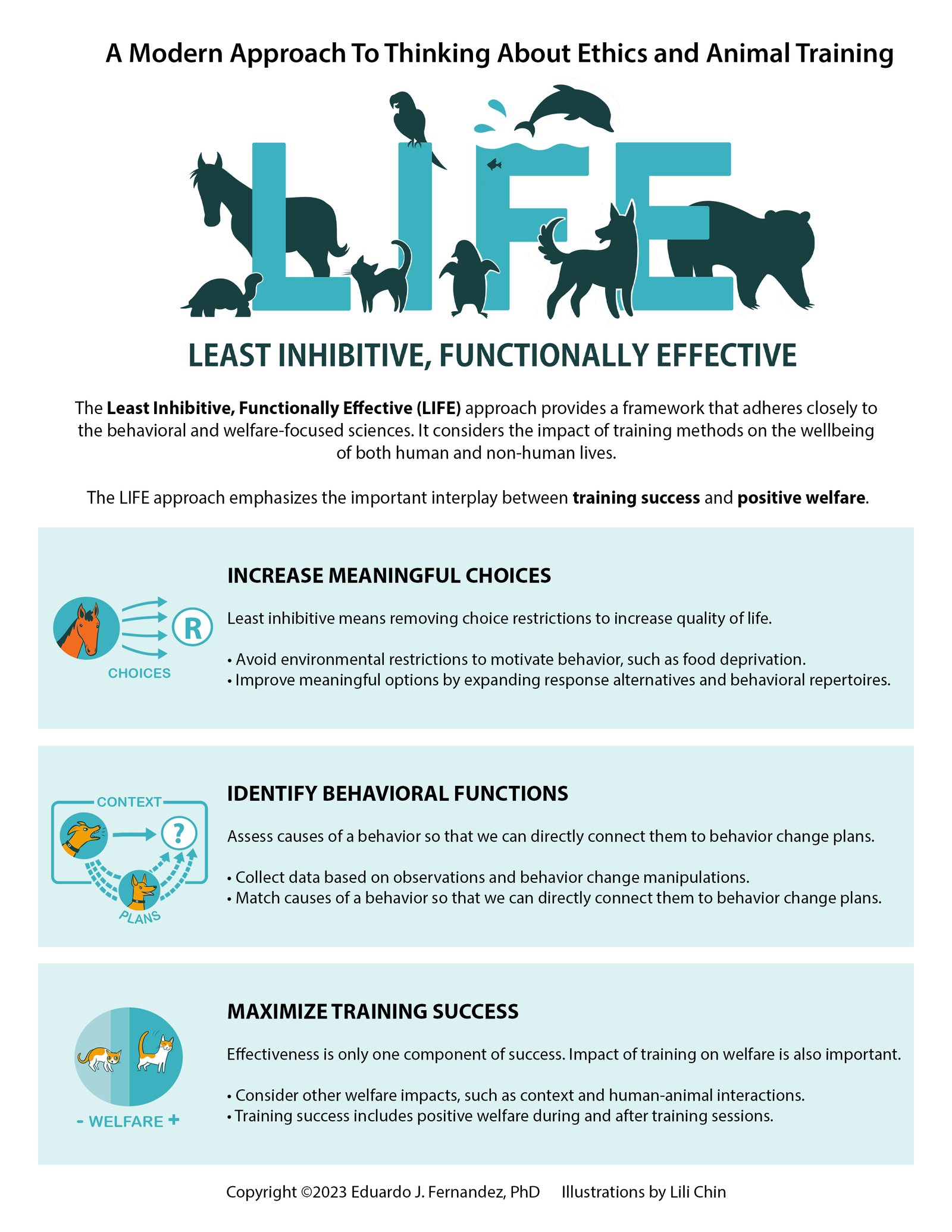 Critical features of the LIFE model