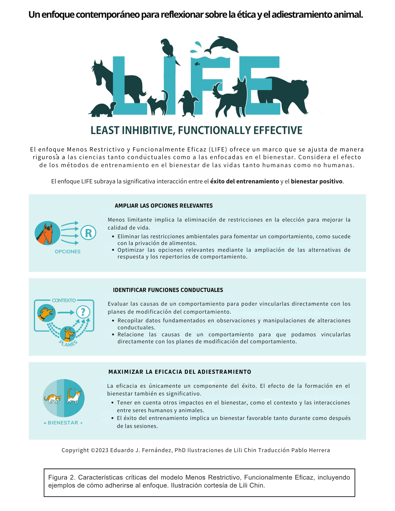 Características críticas del modelo LIFE