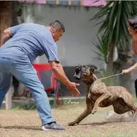 Edgar Montesinos Blanco