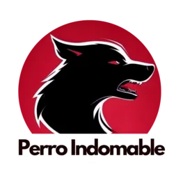 Asesoría Legal y Rehabilitación