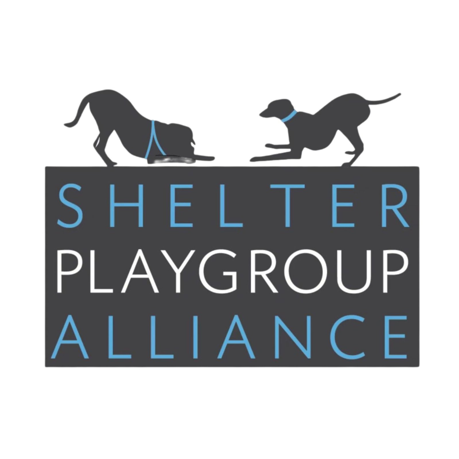 Shelter Dog Play! - Empoderamiento a través del juego